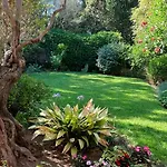 Villa Villa-cyprès-la-polynésie-giens