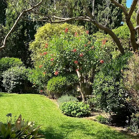 Villa Villa-cypres-la-polynesie-giens Hyères